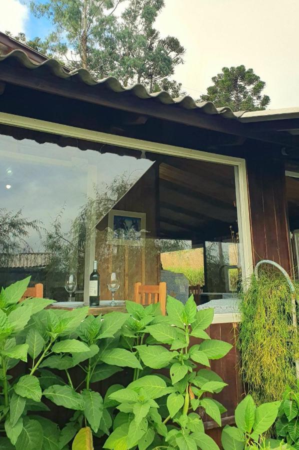 Pousada Mato Verde - Urubici - Sc Ngoại thất bức ảnh